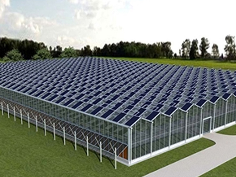 Thermodynamische Prinzipien und Funktionsweise von Solargewächshäusern